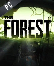 The Forest