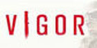 Vigor PS5
