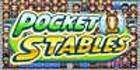 Pocket Stables PS4