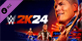 WWE 2K24 DLC 1 ECW Punk Pack PS5